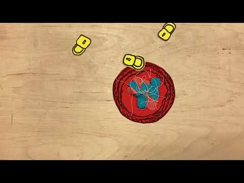 Die Blutgerinnung - Erklärvideo