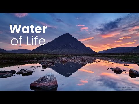 Water of Life: Peaceful Instrumental Hymns · HD