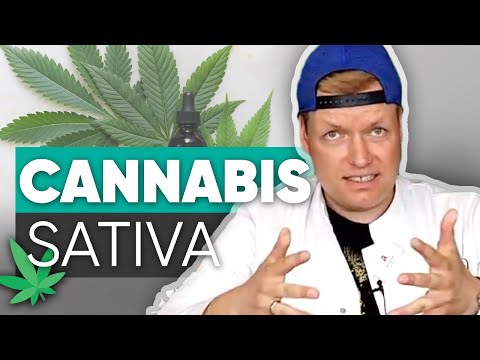 Cannabis für alle: Ist die Cannabis-Legalisierung überfällig?
