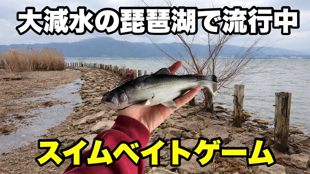今琵琶湖でデカバスがやたらと釣れてる釣りがあるらしいので試して来ました