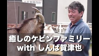 2023年秋癒しの『ケビンファミリー』