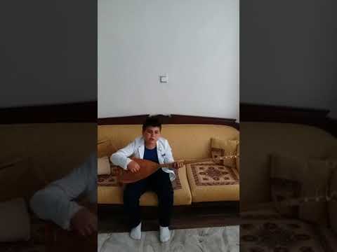 Mustafa Berkten Erik Dalı