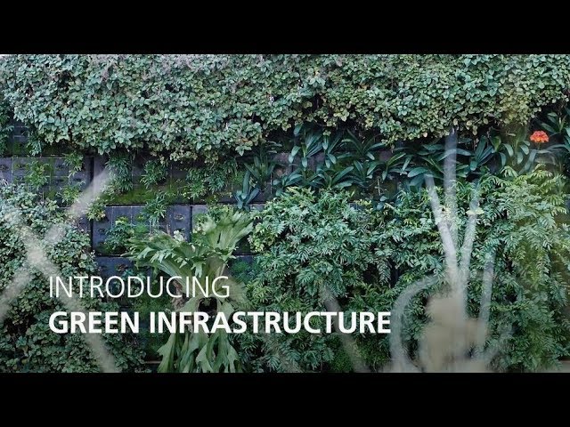 Learn how professional videography can showcase your project to investors