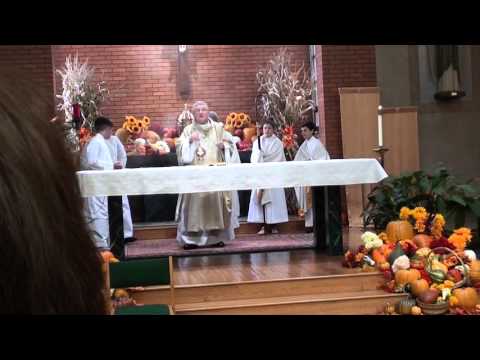 download lagu mp3 mp4 Saint John The Baptist School Plum, download lagu Saint John The Baptist School Plum gratis, unduh video klip Saint John The Baptist School Plum