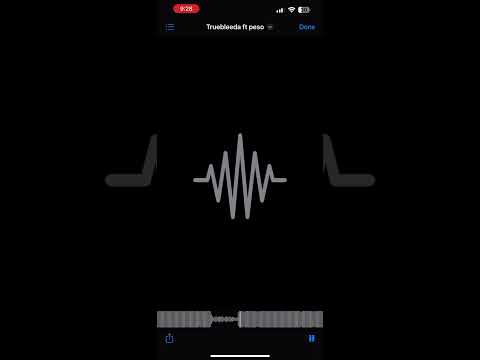 Truebleeda ft monewaypeso - ready for whatever