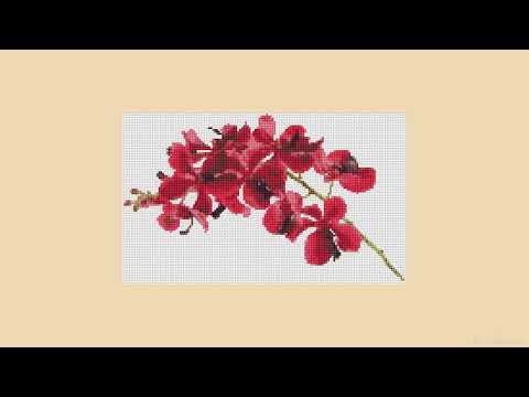 [LAMP](ランプ) Playlist Vol. 1