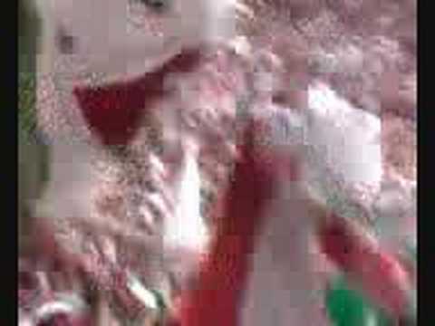 Fluminense 2 x0 Cardoso Moreira