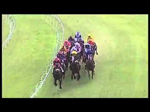 2016.04.30 S A Oaks - Juxtapose