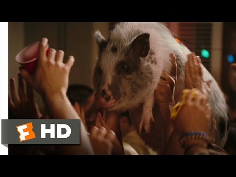 Yours, Mine and Ours (8/9) Movie CLIP - Party at the Lighthouse (2005) HD