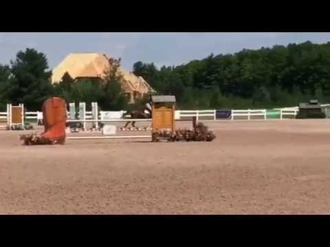 Windekind II at Palgrave