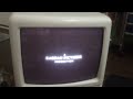 Closing Down To Mumford 2000 VHS