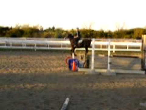 Rosie 9 y/o Arabian Mare jumping