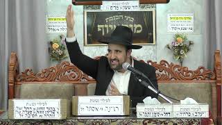 הרב מאיר אליהו | הלכות יציאה לחופש  | מוסאיוף - ה׳תשפ״ה (הרב מאיר אליהו) - התמונה מוצגת ישירות מתוך אתר האינטרנט יוטיוב. זכויות היוצרים בתמונה שייכות ליוצרה. קישור קרדיט למקור התוכן נמצא בתוך דף הסרטון