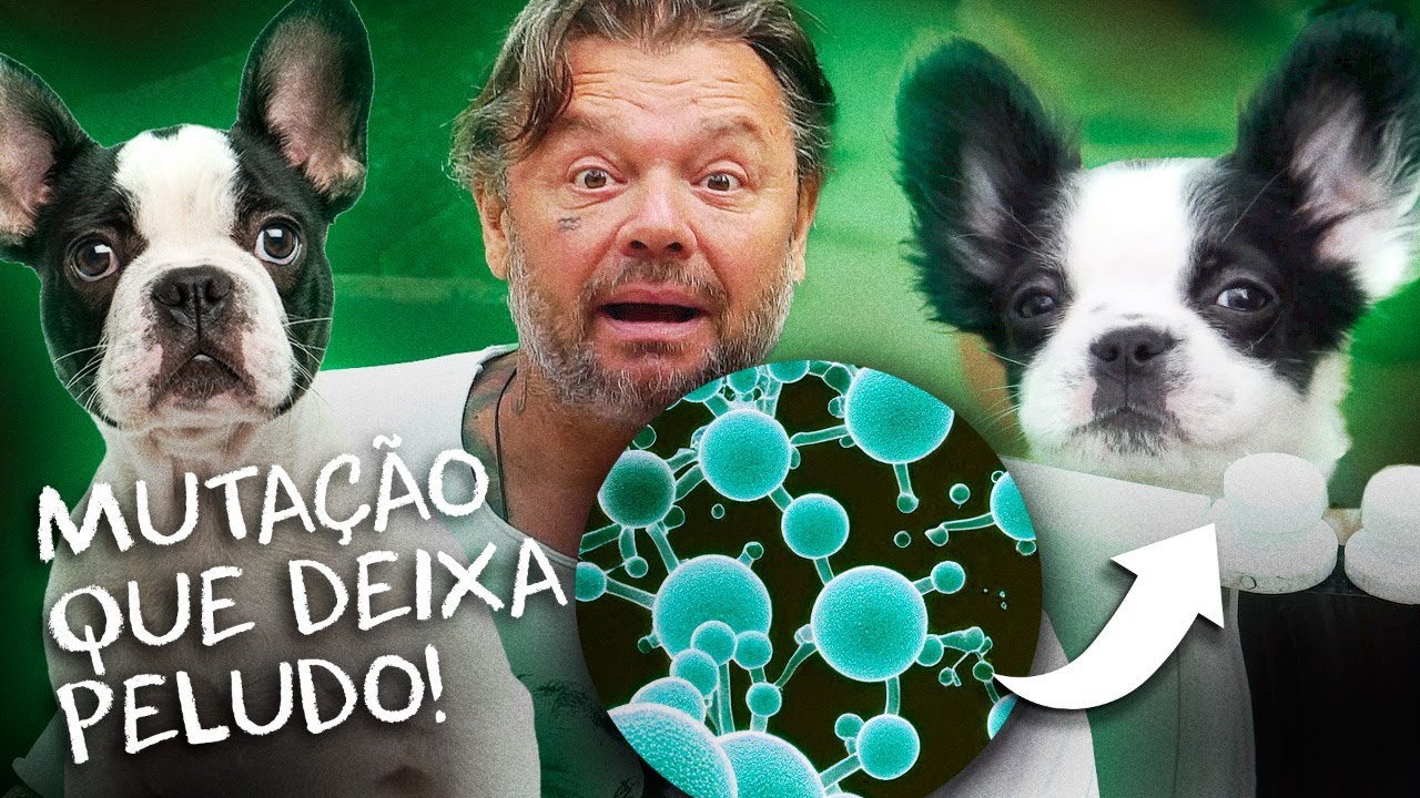 FLUFFY, O BULLDOG FRANCÊS MUTANTE QUE CHEGOU NO BRASIL! | RICHARD RASMUSSEN