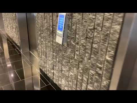 NEWLY MODDED!! DOVIS Compass Traction Elevators at the Denver Plaza South