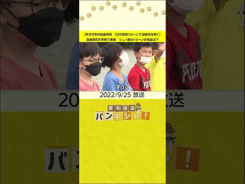 植樹ドローンが気候変動対策に使用される