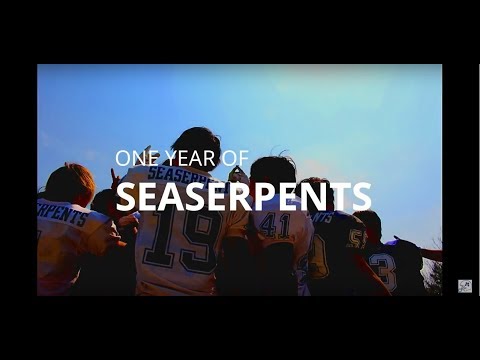 ２０１８年PV　ONE YEAR OF SEASERPENTS