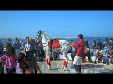 Horse dancing Palermo June 2, 2013