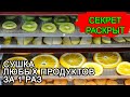 Сушка овощей, фруктов, ягод, трав, чая в ик сушилке за 1 раз