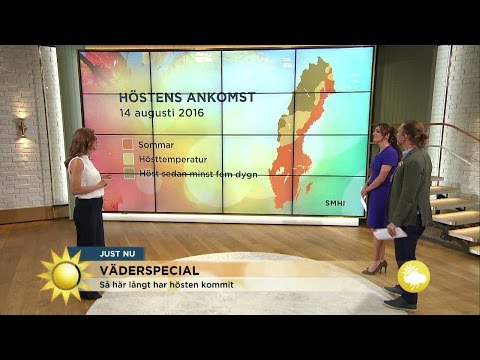 Väderspecial: "Det känns som höst" - Nyhetsmorgon (TV4)
