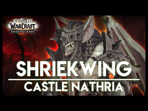 Half Credit Vs Shriekwing Heroic Balance Druid POV