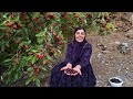 The Discovery Of The Forbidden Mountain Fruit What Did The Lonely Mother Find