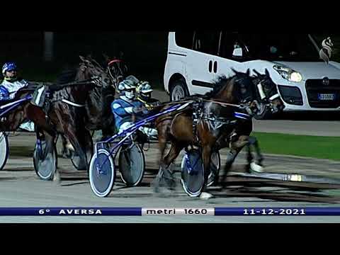 Aversa trotto 11 Dicembre 2021 - 6° Corsa