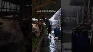Download lagu Kata kata tukang ngarit, biar semangat 💪🏻💪🏻 mp3