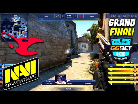 GRAND FINAL! - mousesports vs Natus Vincere - ICE Challenge 2020 - Highlights