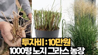 10만원으로 2년만에 1000평 그라스 농장 만드는법
