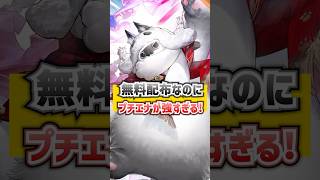 無料配布の新オペレーター「プチエナ」が強そう！【エンドフィールド】