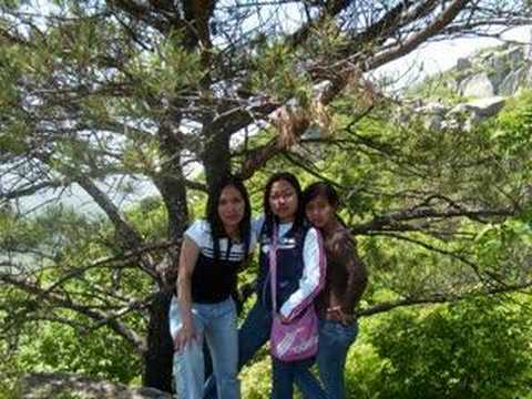 Letto -  Kau Aku Dan Obsesiku