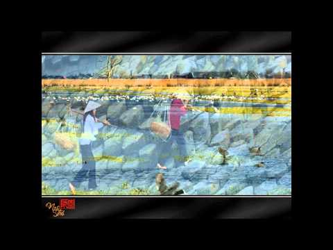 Đường chúng ta đi - Việt Dũng