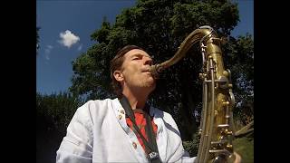 Saxophone Jazzlounge in the garden... by Jan van Oort