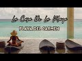 The Most Luxurious Hotel In Riviera Maya | La Casa De La Adults Only | Playa Playa del Carmen Mexico