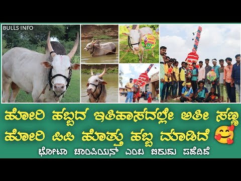 Kolur Anugraha 117 || ಹೋರಿಹಬ್ಬದ ಛೋಟಾ ಚಾಂಪಿಯನ್ #jallikattu #farming