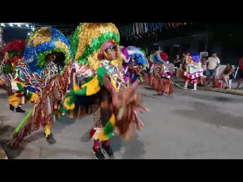 Maracatu Pavão Dourado De  Tracunhaém 2026