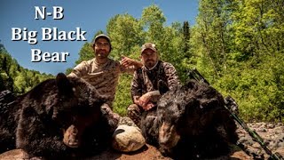 CHASSE À L’OURS - N-B Big Black Bear