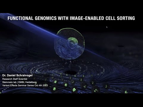 "Genome-scale functional genomics screens with image-enabled cell sorting" Daniel Schraivogel