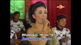 Download lagu Campursari BALISA - Luntur mp3