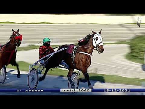 Aversa trotto 18 Dicembre 2021 - 2° Corsa