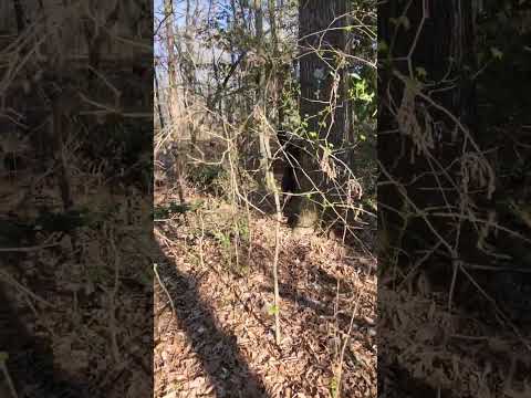 the force is strong with the Jedi 3-25-23