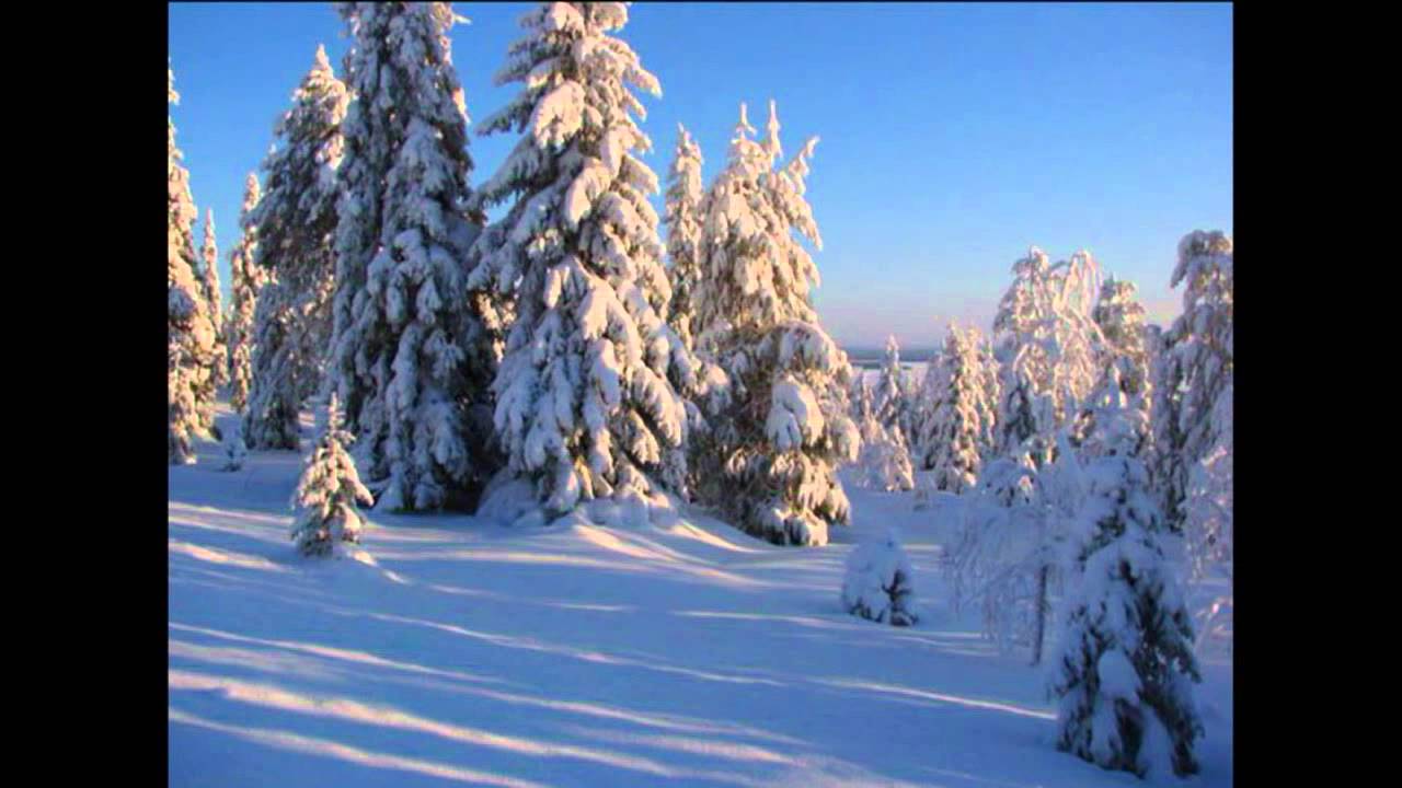 Kauneimmat joululaulut - Sylvian joululaulu - Kun joulu on