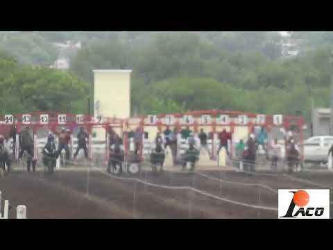 AMISTAD HIPODROMO DON SOHAR CRUZ DEL EJE 17 12 2022