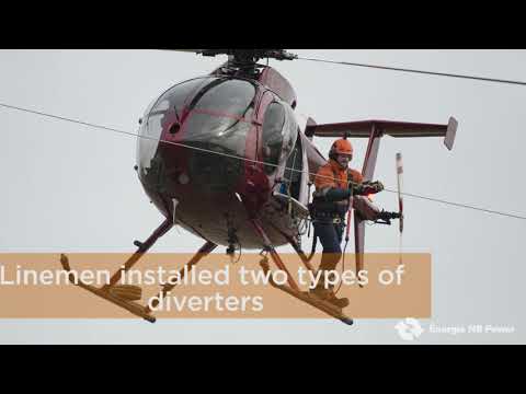Linemen work on transmission lines from helicopter
