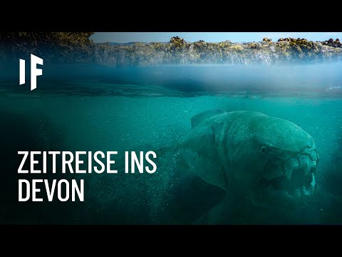 Was wäre, wenn du im Devon Zeitalter leben würdest?