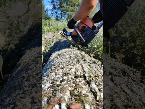 фото распиловка дров, расчистка участка 0