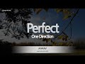 One Direction-Perfect (Melody) [ZZang KARAOKE]