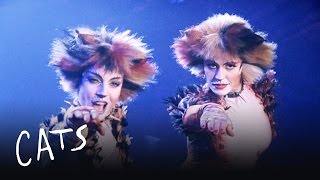 Macavity the Mystery Cat Part 1 | Cats the Musical