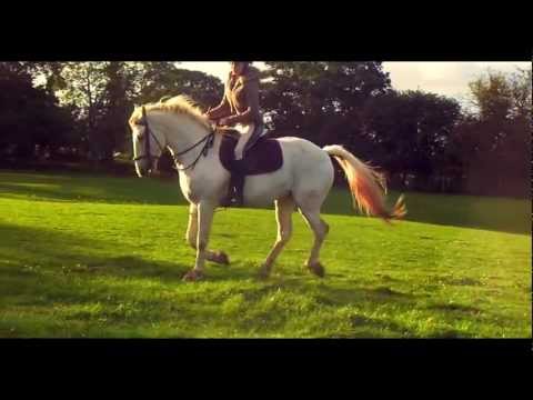 Blue - first time riding in months [630+] HD